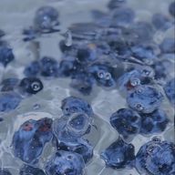 めめなべ厨さんのアイコン画像