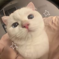 康.さんのアイコン画像