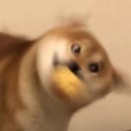 ぱっつんさんのアイコン画像