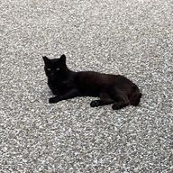 Lounoさんのアイコン画像