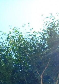 ハムボでぶりっ子できる私イケてね？