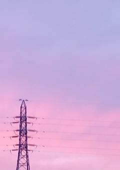 正体不明。ただし天才。