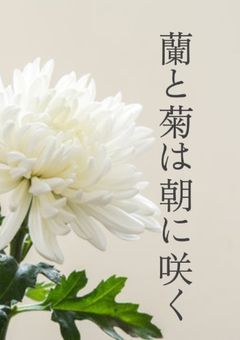 蘭と菊は朝に咲く