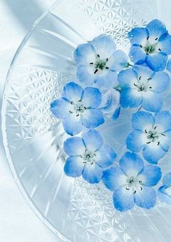 14歳   天涯孤独として生きてきました