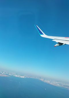 嫌いな生徒会長