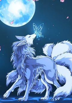 お狐様と僕