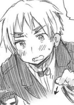 眉毛の元妹は色々な国から求婚される。