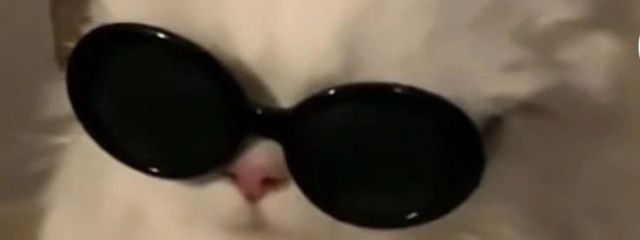 みらいさんの壁紙画像