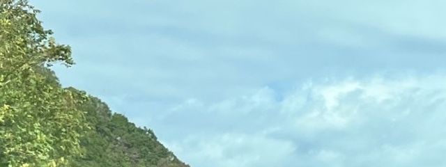 🦋さんの壁紙画像