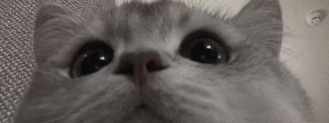 𝗿𝘂𝗶️️🔒🖤(低浮上)さんの壁紙画像