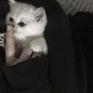 はるかさんのアイコン画像