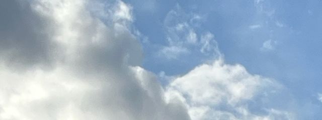LALAさんの壁紙画像