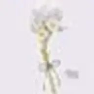 めるぅ🌟さんのアイコン画像