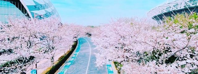 まぁー🌷🎀🧸さんの壁紙画像