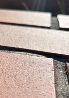 きゅーけつきのおすみつき