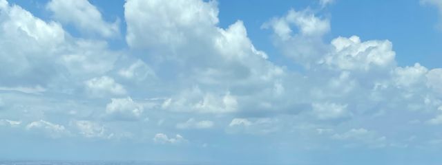 りな🍒さんの壁紙画像