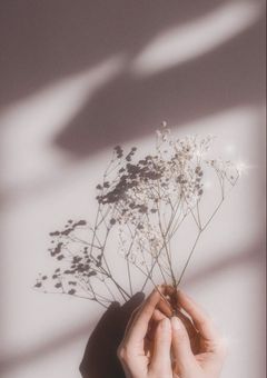 防弾病院 ~Magic Shop~