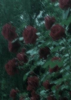 ่ฆณๅฏ่จ้ฒ bg01