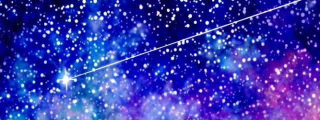 白花 ゆきさんの壁紙画像