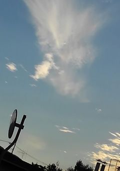 いつまでも紅一点で居させて…