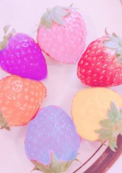 障害者の俺と僕とメンバー