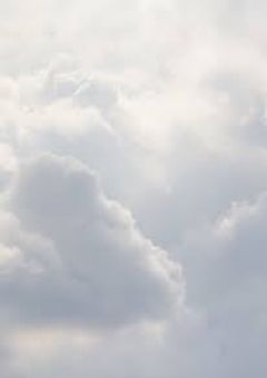 逃げた先の景色は綺麗だった