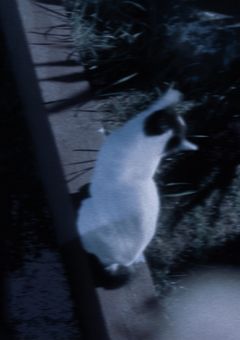 お久しぶりです