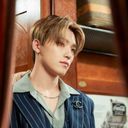 디노(ディノ)