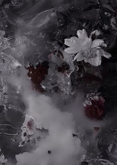 《 参加型 》 月下の黒薔薇 。