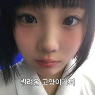 うぉんひのほっぺさんのアイコン画像