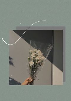 今日も平和です()