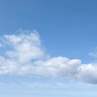 たけさんのアイコン画像