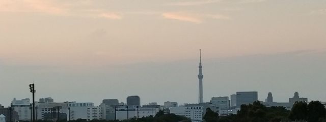 しろくまさんの壁紙画像