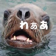 白玉ちゃんさんのアイコン画像