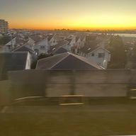 flowerさんのアイコン画像