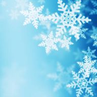 みるく💎🐤🎲さんのアイコン画像