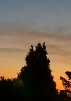 紙飛行機【参加型】