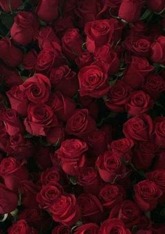 虐 め ら れ っ 子 と ヤ ン キ ー 君 .