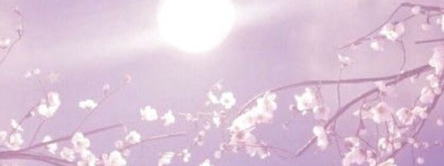 Puppet✿さんの壁紙画像
