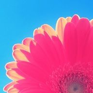 　ま　ま　ろ　🎀　🐾さんのアイコン画像