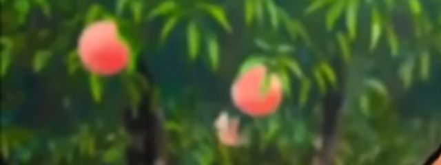 _:(´ཀ`」 ∠):さんの壁紙画像