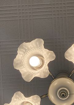 𝐭𝐚𝐥𝐤𝐢𝐧𝐠 ‪𓂃🪴.