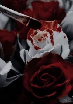 Before the rose falls