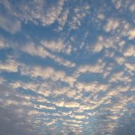 れいさんのアイコン画像