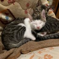 ちはるさんのアイコン画像