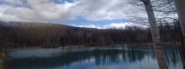 おと   ※🐢投稿さんの壁紙画像