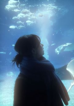 　　　𝘓𝘰𝘷𝘦 𝘳𝘰𝘮𝘢𝘯𝘤𝘦　　　