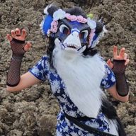 黒崎黒龍さんのアイコン画像