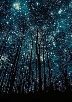 夜 空