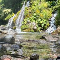 莉愛さんのアイコン画像